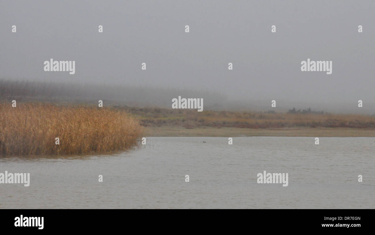 See in den Dunst und Nebel mit gelben Grases Stockfoto