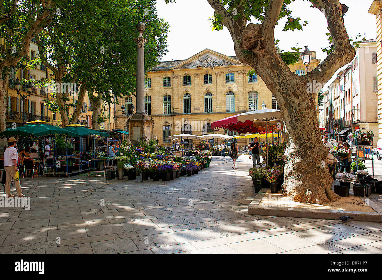 Blumenmarkt, Aix en Provence, Frankreich Stockfoto