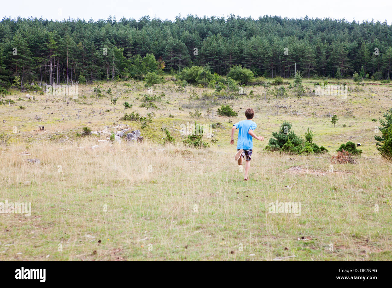 junge laufen, junge weglaufen, Bäume, Wald Stockfoto