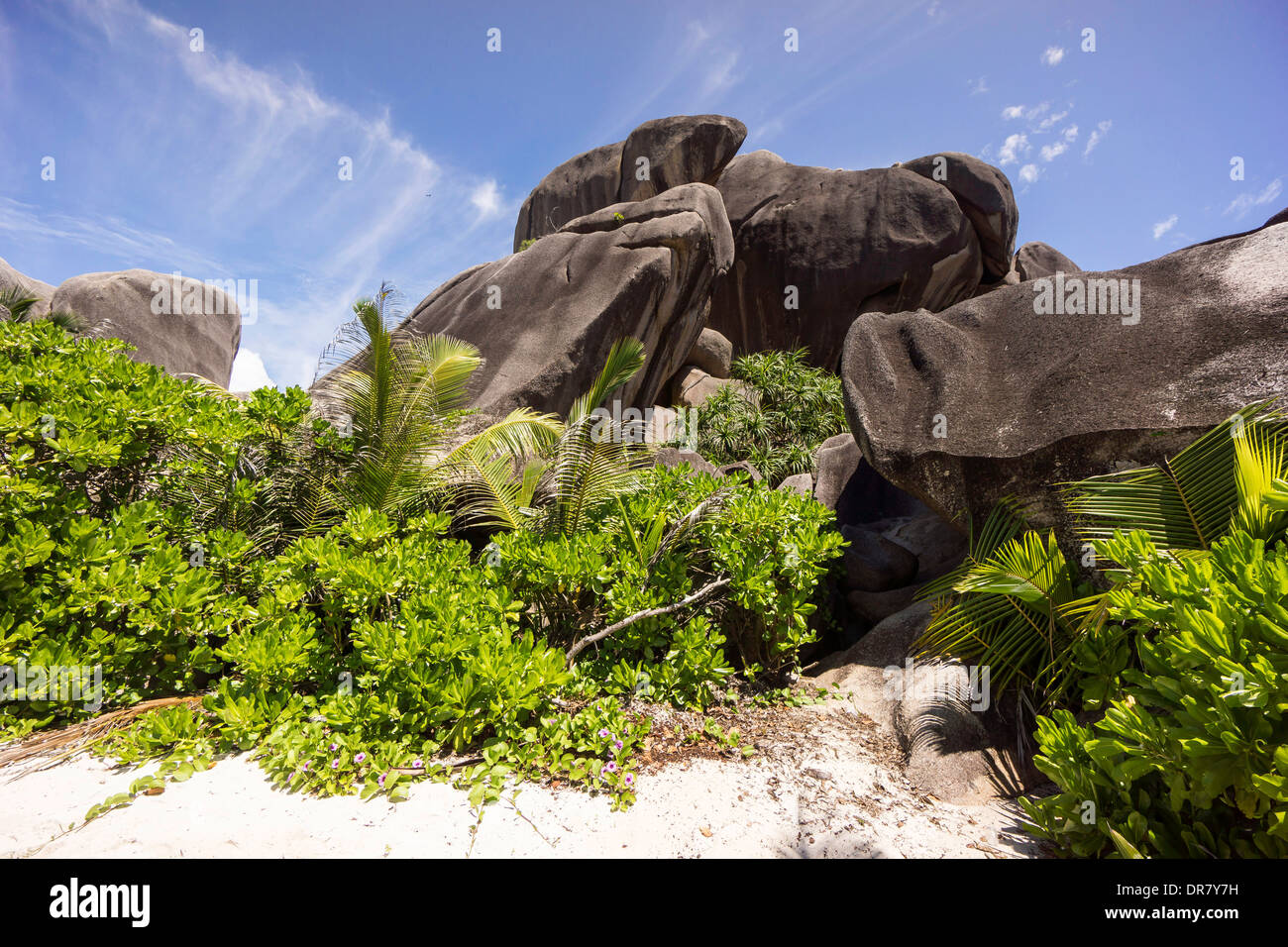 Typischen Felsformationen in den Seychellen, Anse Union, La Digue, Seychellen Stockfoto