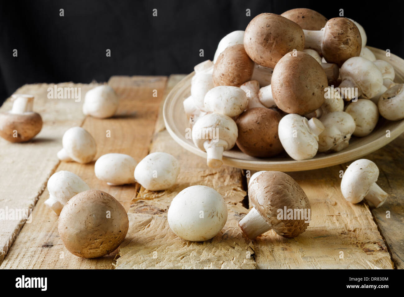 Braune und weiße Champignons Stockfoto