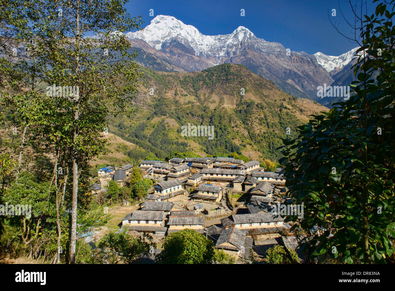 Annapurna South (7291m) und Hiunchuli von Ghandruk in der Annapurna Region Nepals gesehen Stockfoto Annapurna South (7291m) und Hiunchuli von Ghandruk in der Annapurna Region Nepals gesehen Stockfoto