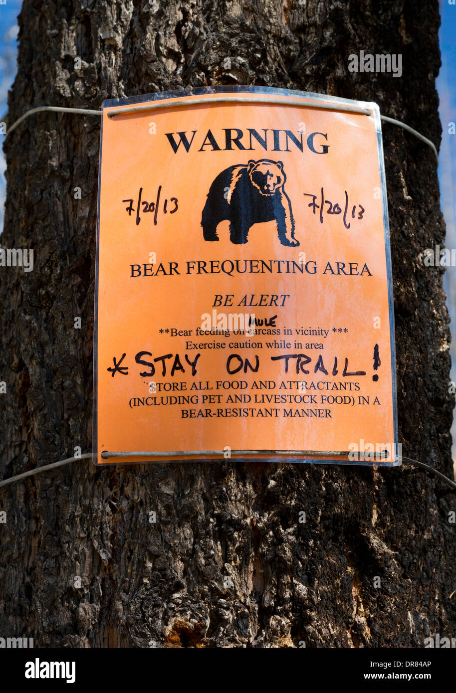 Ein Bär Warnung gepostet von US Forest Service in die Bob Marshall Wilderness von Montana. USA Stockfoto