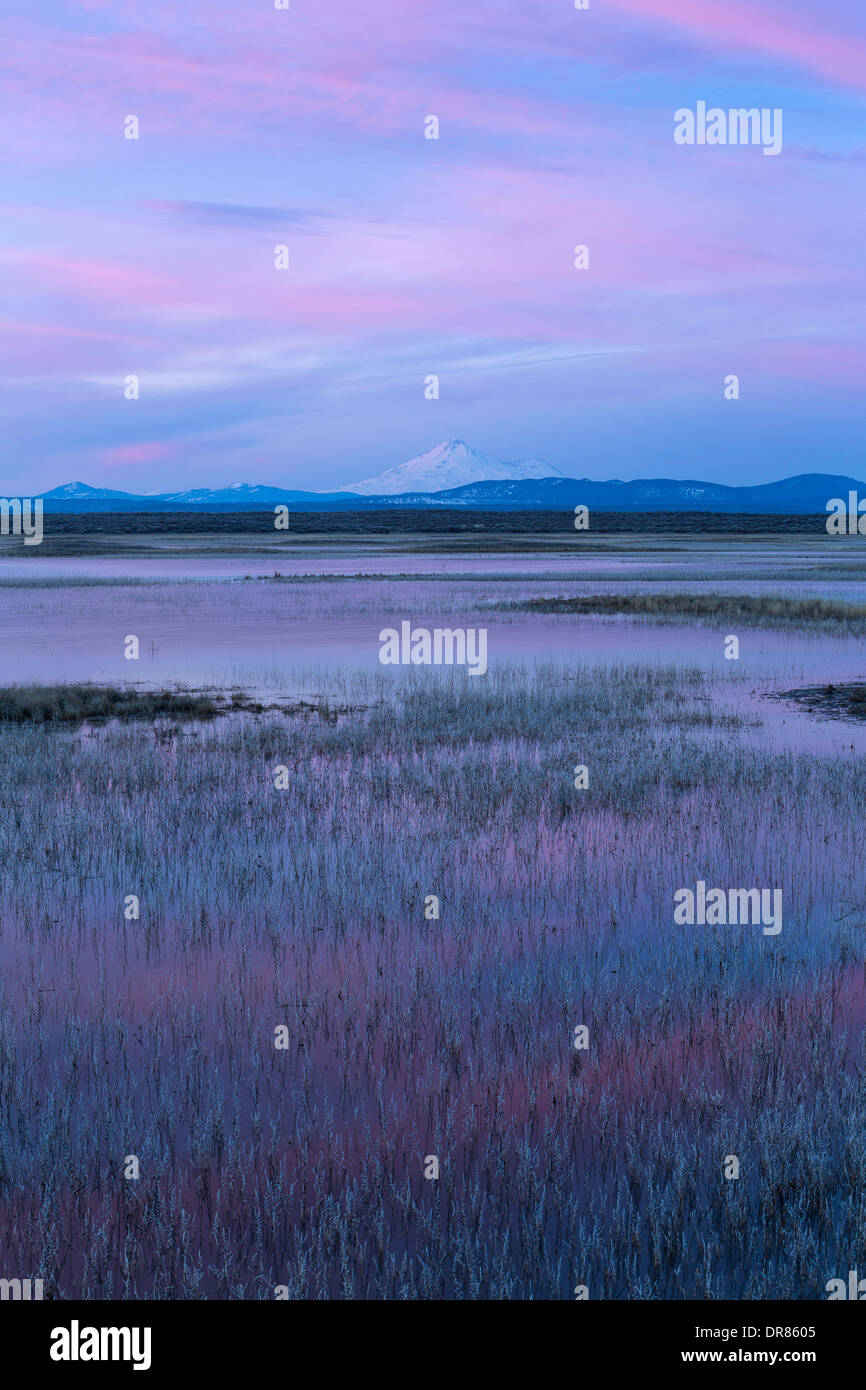 Mount Shasta steht Sentinal über die Klamath Bassin bei Sonnenaufgang. März. USA Stockfoto