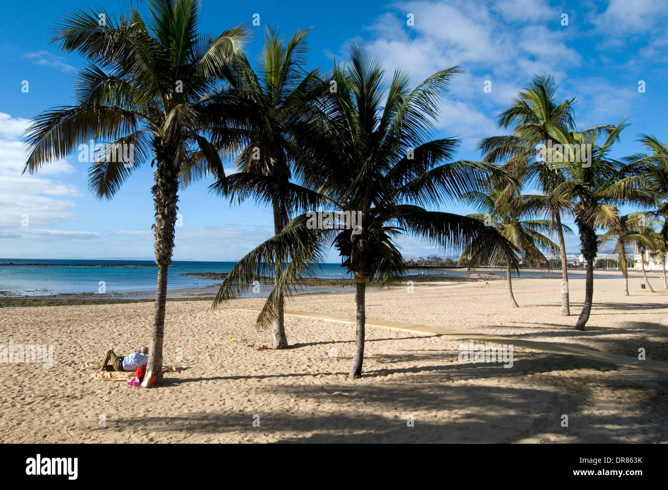 Arrecife Lanzarote Strand Kanarische Insel Inseln Kanaren weißen Sand Sandstränden Baum Palmen leer Stockfoto