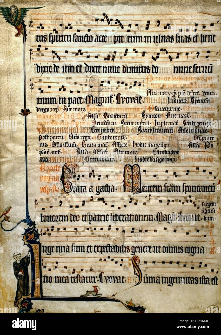 Blatt ein antiphonale Flandern flämischen Brügge oder Ghent 1310-1320 Festivals der Läuterung und St. Agatha (Belgien belgische) Stockfoto