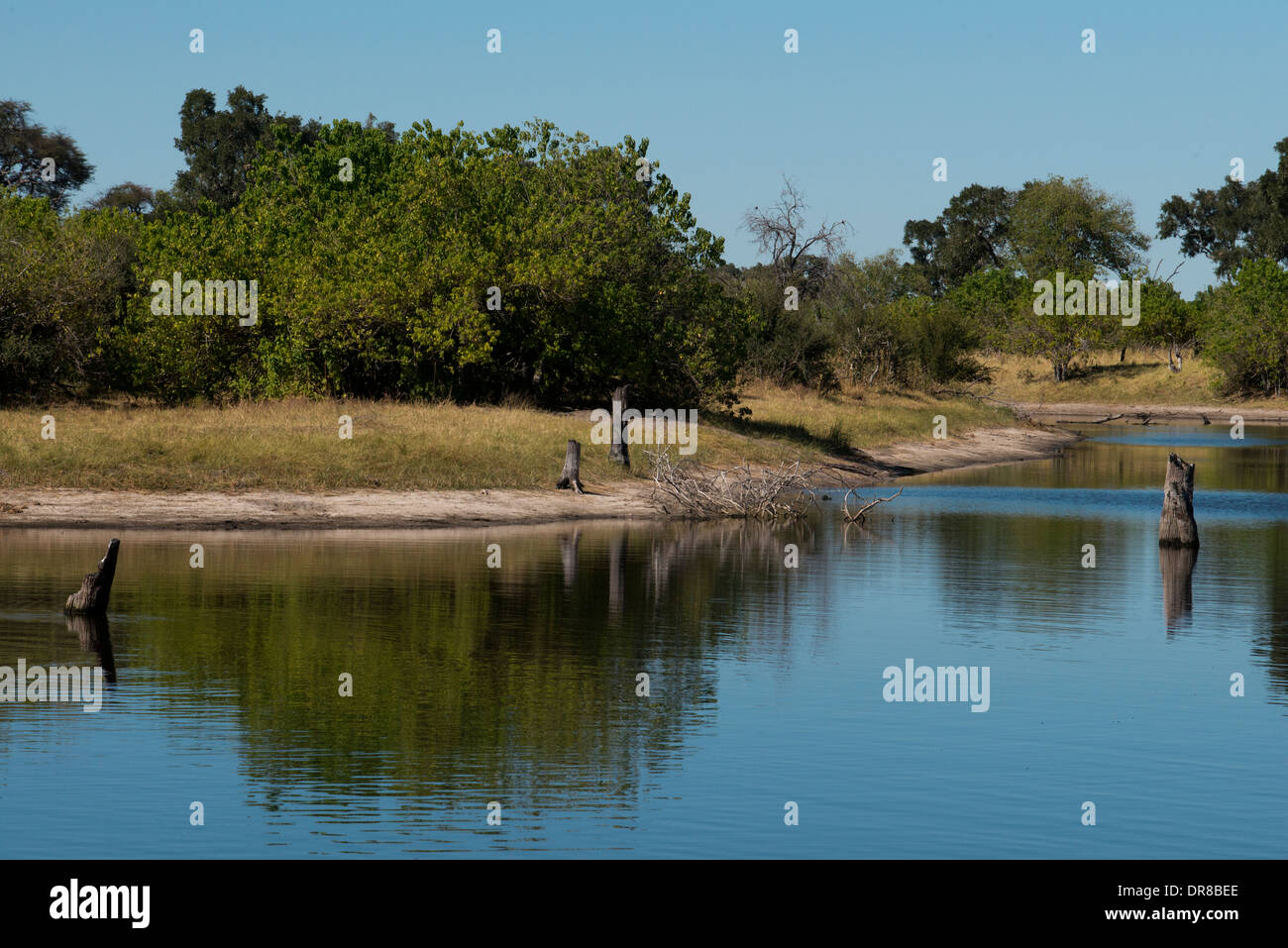 Ansichten vom Camp Savute Elephant Camp von Orient Express in Botswna im Chobe Nationalpark und Camp Camp Eagle Island Camp Stockfoto