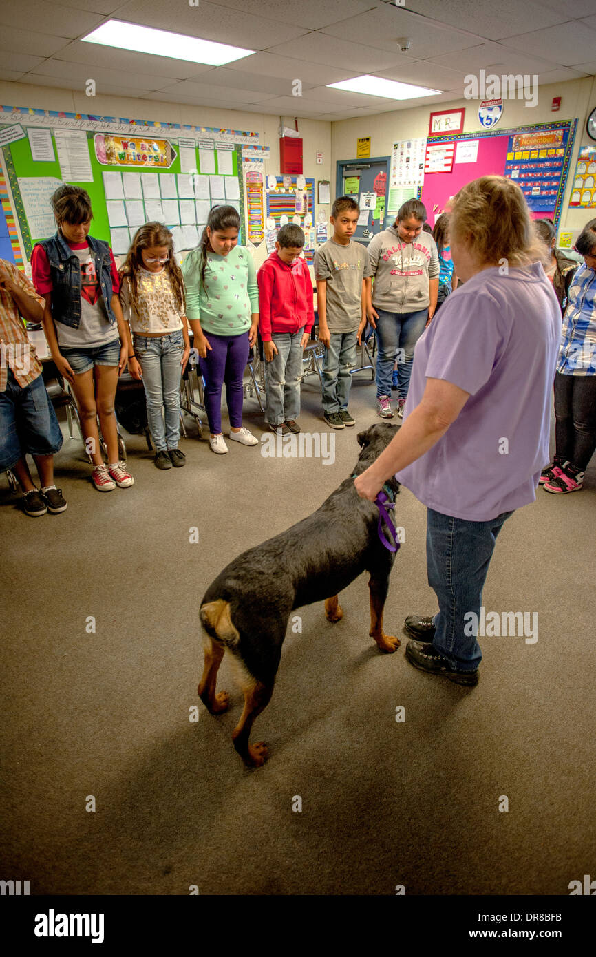 Ein überwiegend Hispanic Grundschule Klasse in San Bernardino, Kalifornien, still zu stehen, wenn Sie von einem Hund angegriffen von der Besitzer von einem Rottweiler unterrichtet werden. Stockfoto