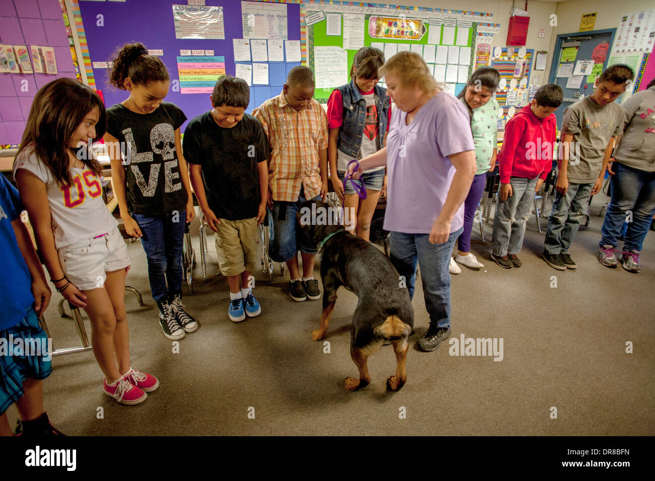 Ein überwiegend Hispanic Grundschule Klasse in San Bernardino, Kalifornien, still zu stehen, wenn Sie von einem Hund angegriffen von der Besitzer von einem Rottweiler unterrichtet werden. Stockfoto