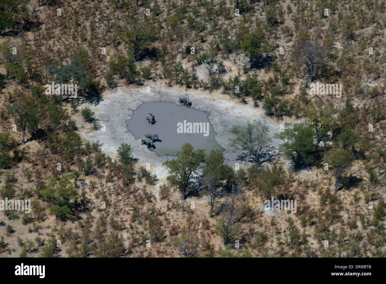 Luftaufnahmen von Camp Savute Elephant Camp von Orient-Express in Botswna im Chobe Nationalpark und Camp Camp Eagle Island Camp Stockfoto