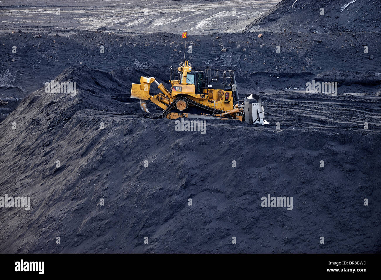 Talon Rohkohle mit einem Cat D10 Bulldozer in einem Kohlebergwerk in Alberta, Kanada. Stockfoto