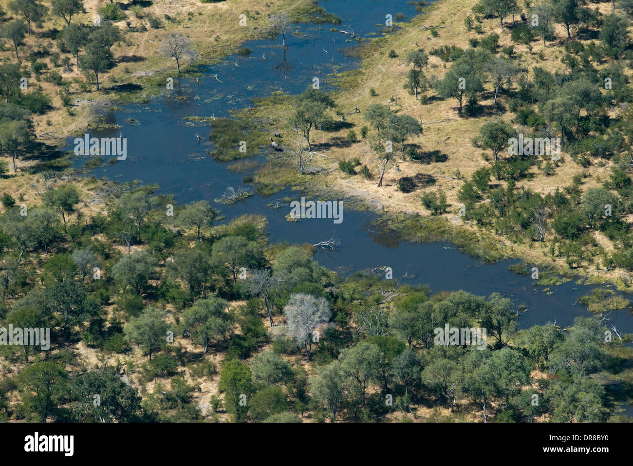 Luftaufnahmen von Camp Savute Elephant Camp von Orient-Express in Botswna im Chobe Nationalpark und Camp Camp Eagle Island Camp Stockfoto
