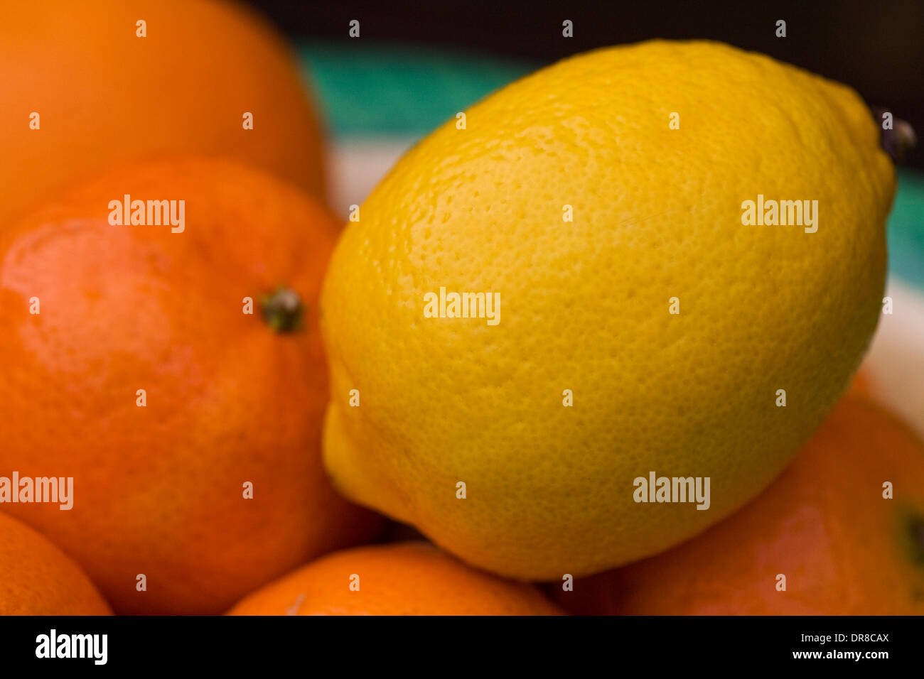 Citrus X sinenesis und Citrus × Limon. Orangen, Clementinen und Zitronen in eine Schüssel geben. Stockfoto