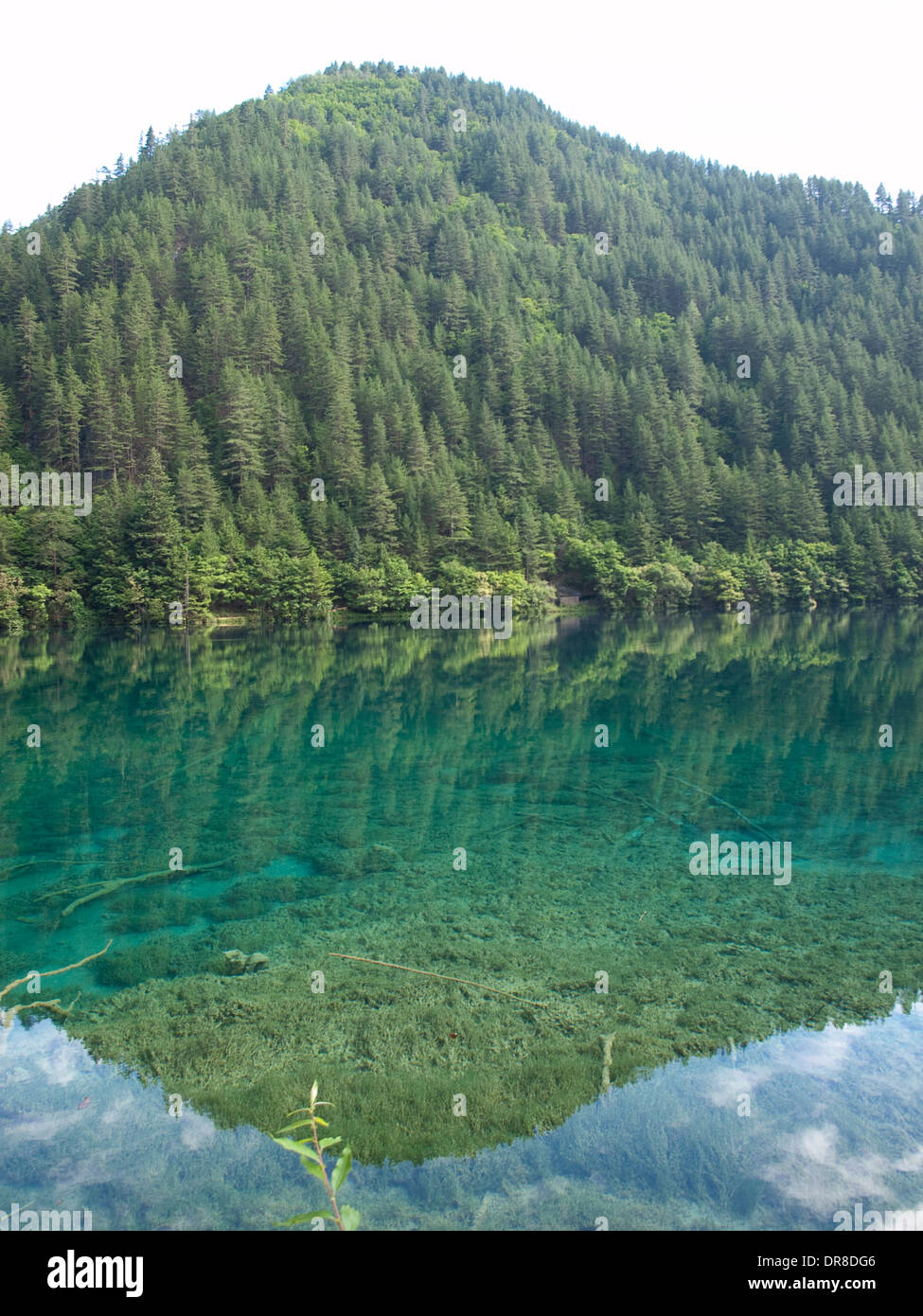 Mirror Lake in Jiuzhaigou, China Stockfoto