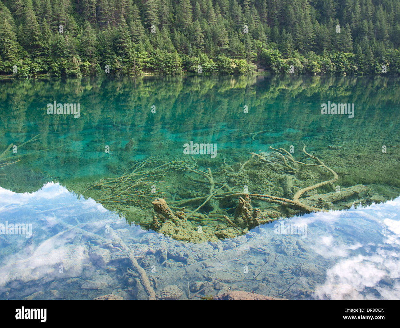 Mirror Lake in Jiuzhaigou, China Stockfoto