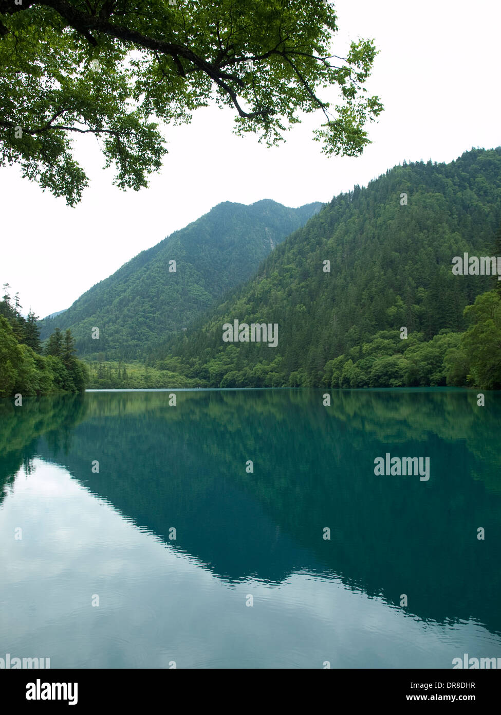 Mirror Lake in Jiuzhaigou, China Stockfoto