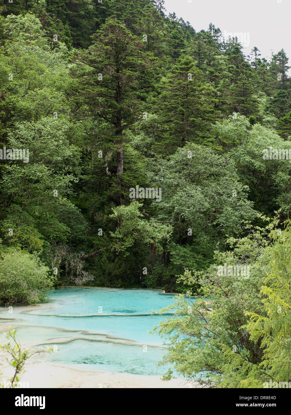 Schönheit konkurrierenden Teich in Huanglong, China Stockfoto