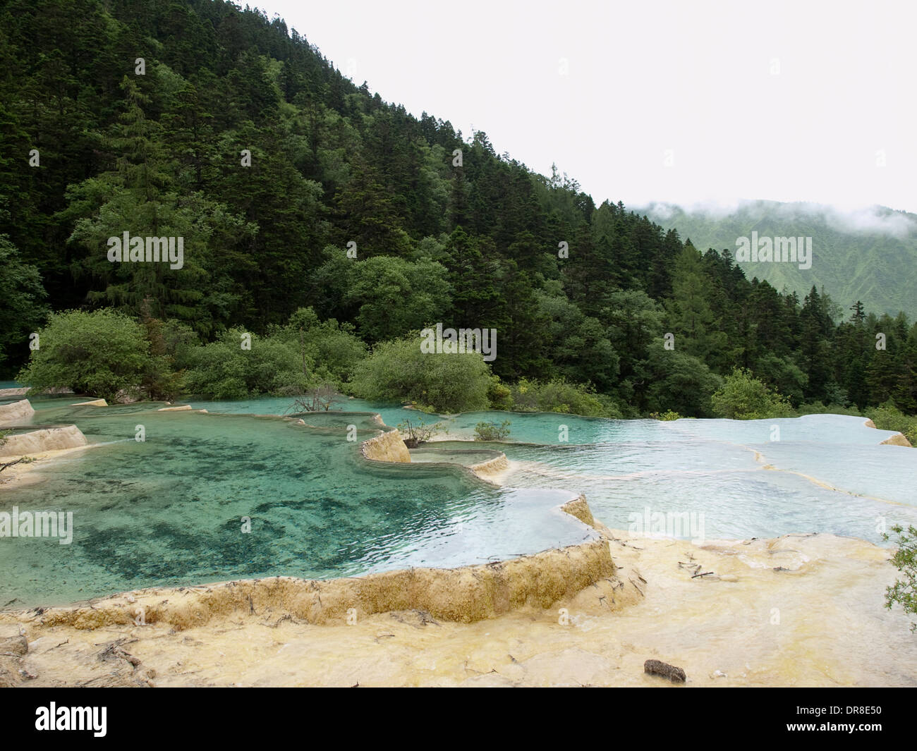 Rhododendron-Teich in Huanglong, China Stockfoto