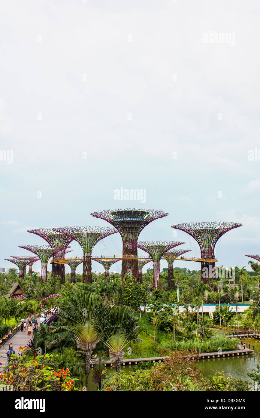 Gärten an der Bucht in Singapur Stockfoto
