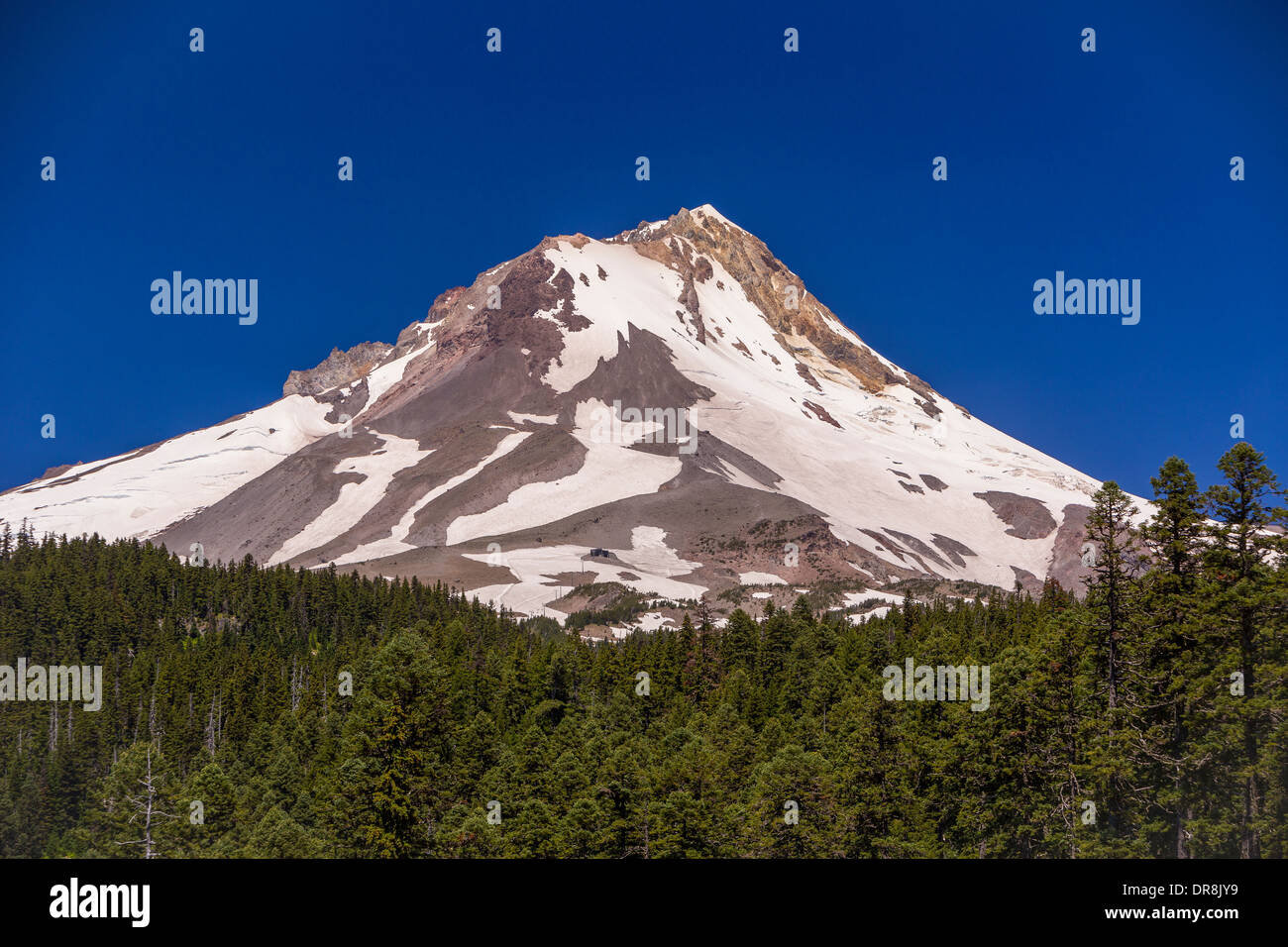 MOUNT HOOD, OREGON, USA - Mount Hood, ein 11.240 Füße Vulkan im Bereich von Kaskaden. Stockfoto