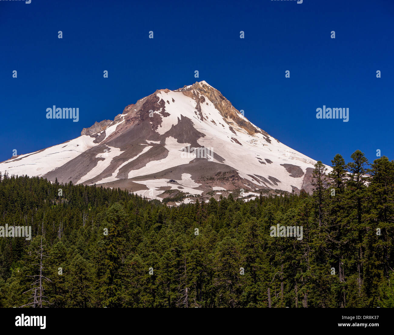 MOUNT HOOD, OREGON, USA - Mount Hood, ein 11.240 Füße Vulkan im Bereich von Kaskaden. Stockfoto