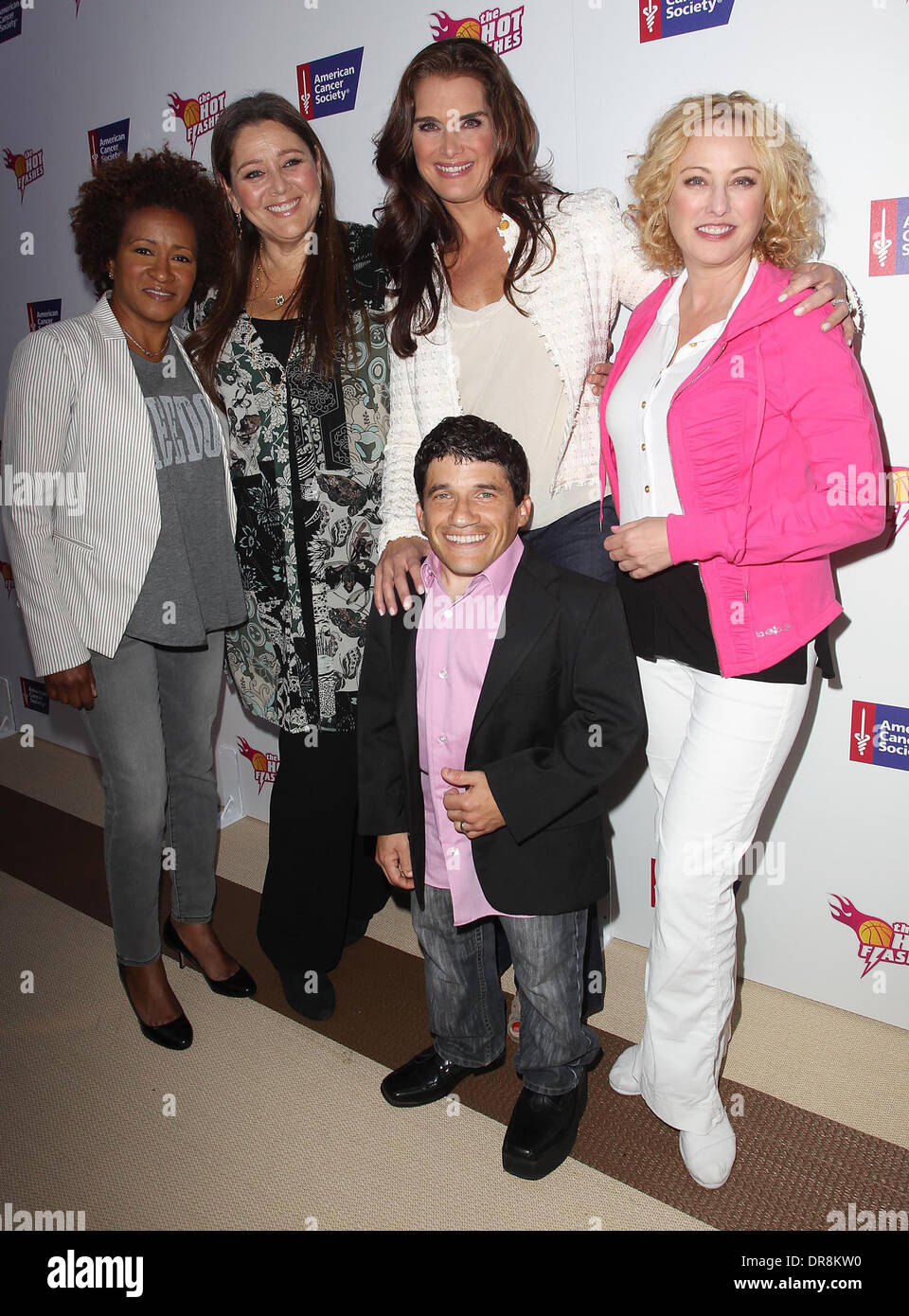 Wanda Sykes, Camryn Manheim, Brooke Shields, Virginia Madsen, Mark Povinelli die Besetzung von "Hitzewallungen" und die amerikanische Krebs Gesellschaft feiern "Blow Out Krebs" an der Montage Hotel Beverly Hills, California - 19.06.12 Stockfoto