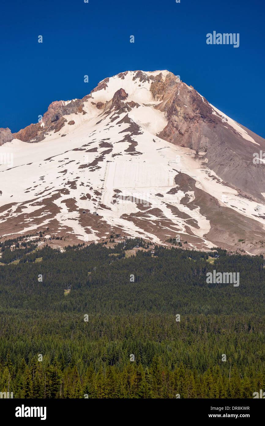 OREGON, USA - Mount Hood, Kaskaden reichen. Stockfoto