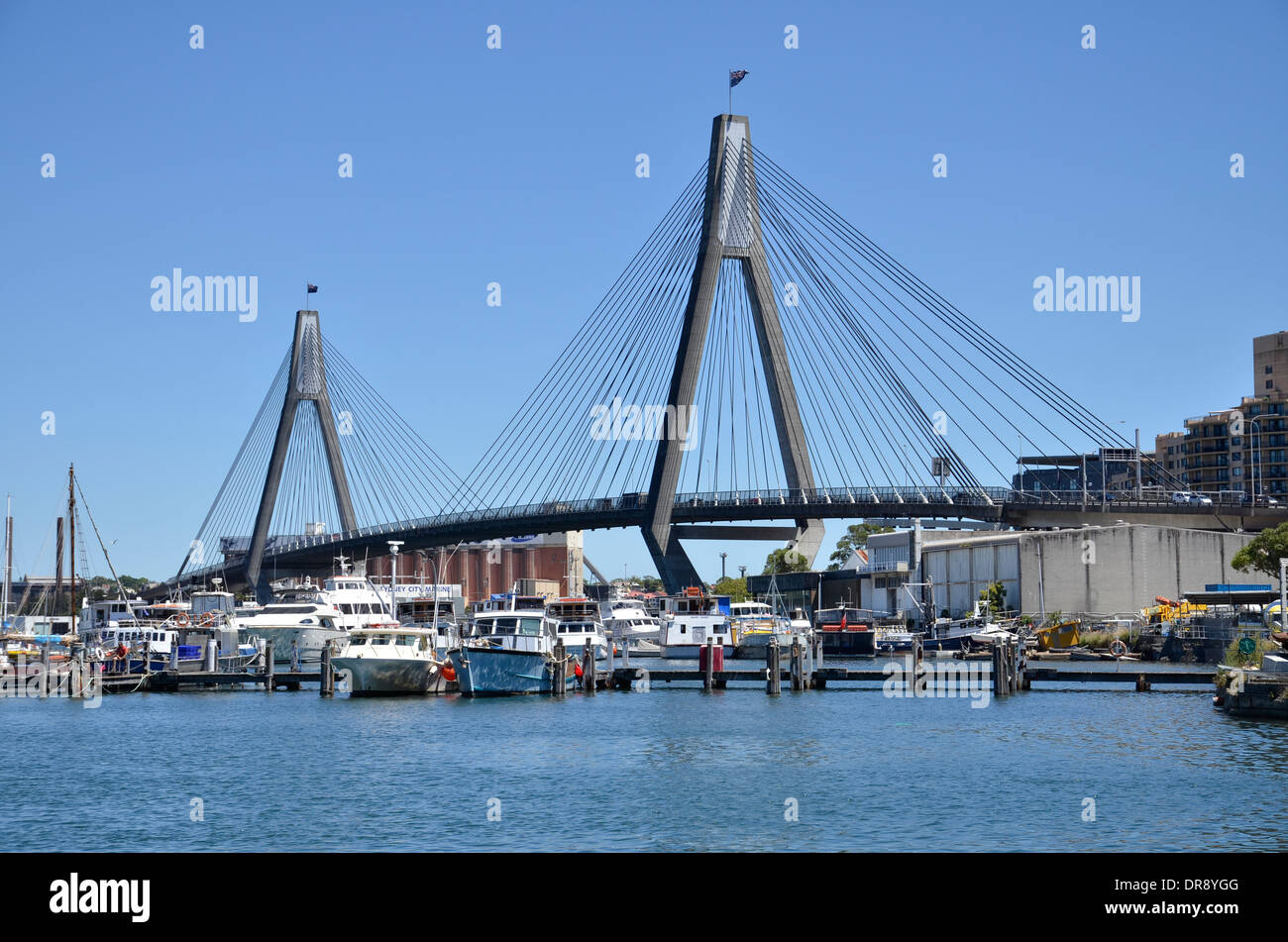Die ANZAC Bridge über Johnstons Bay zwischen Pyrmont und Glebe Island in Sydney Stockfoto