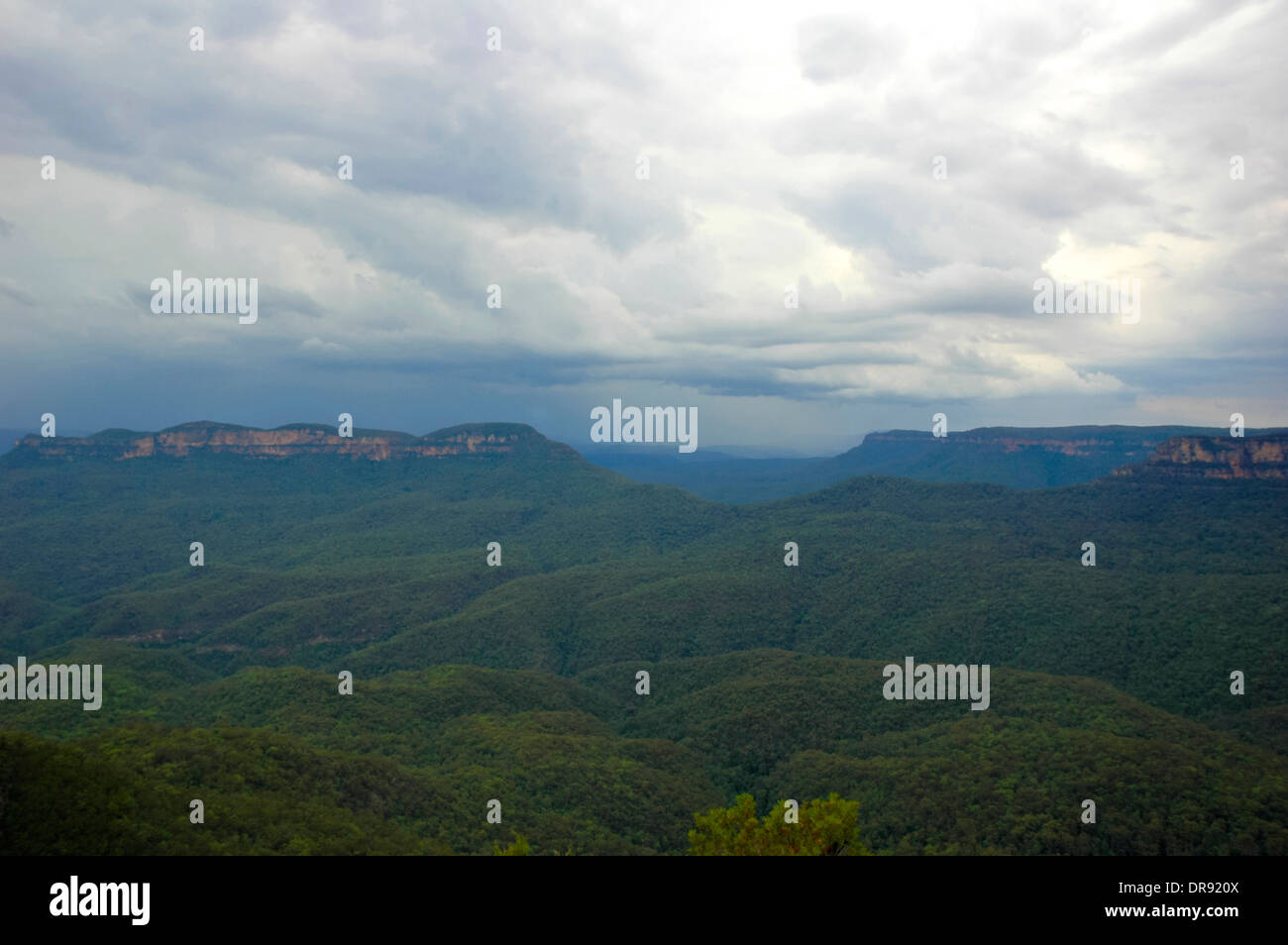 Blue Mountains National Park Stockfoto