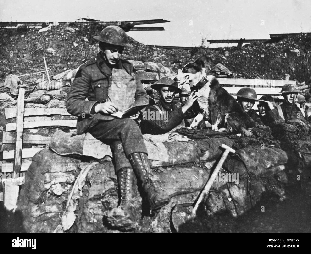 Während des Krieges Messenger Hund Stockfoto