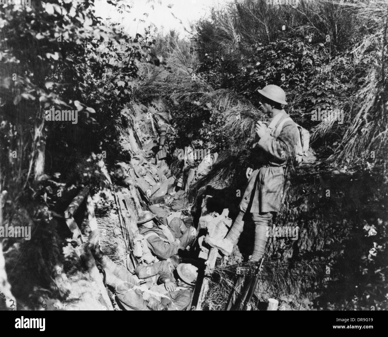 Argonne First World War Stockfotos und bilder Kaufen Alamy