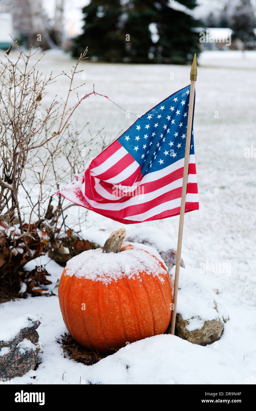 Schneebedeckte Kürbis-amerikanische Flagge in einem schneebedeckten Hof direkt nach Thanksgiving. Stockfoto