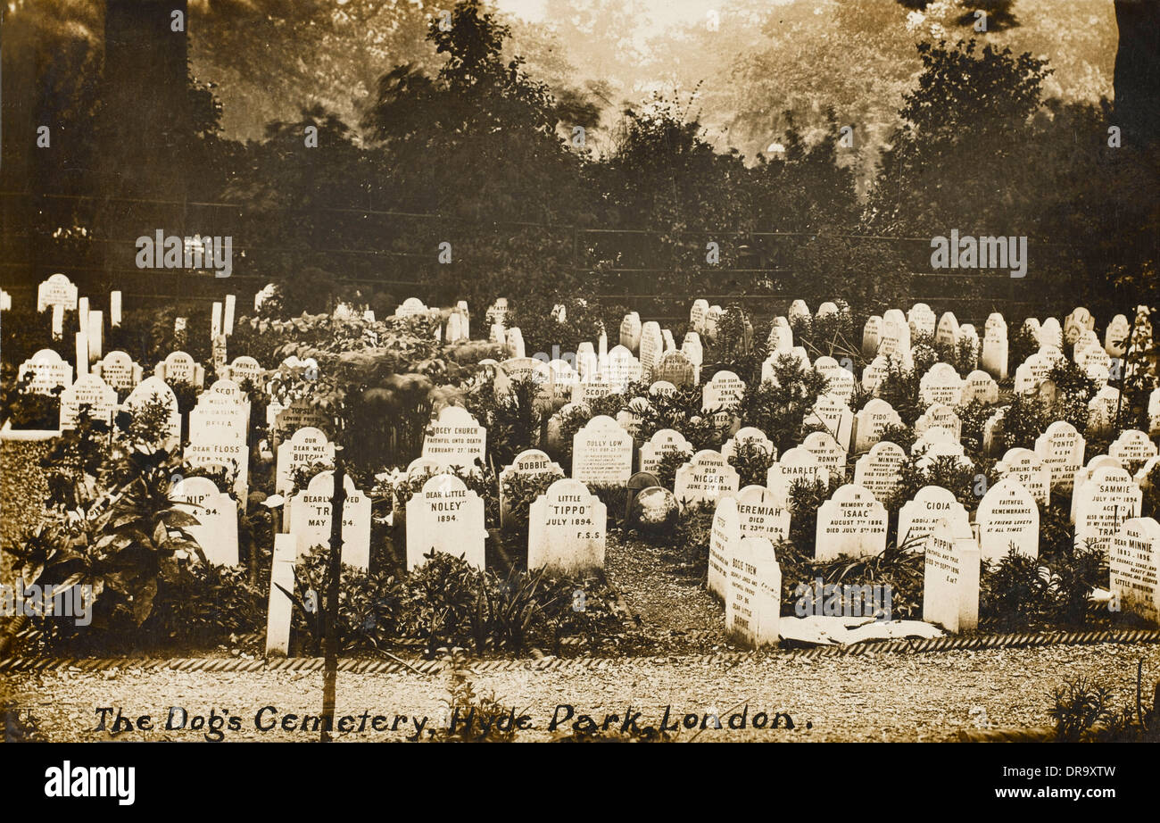 Hundefriedhof - Hyde Park, London Stockfoto