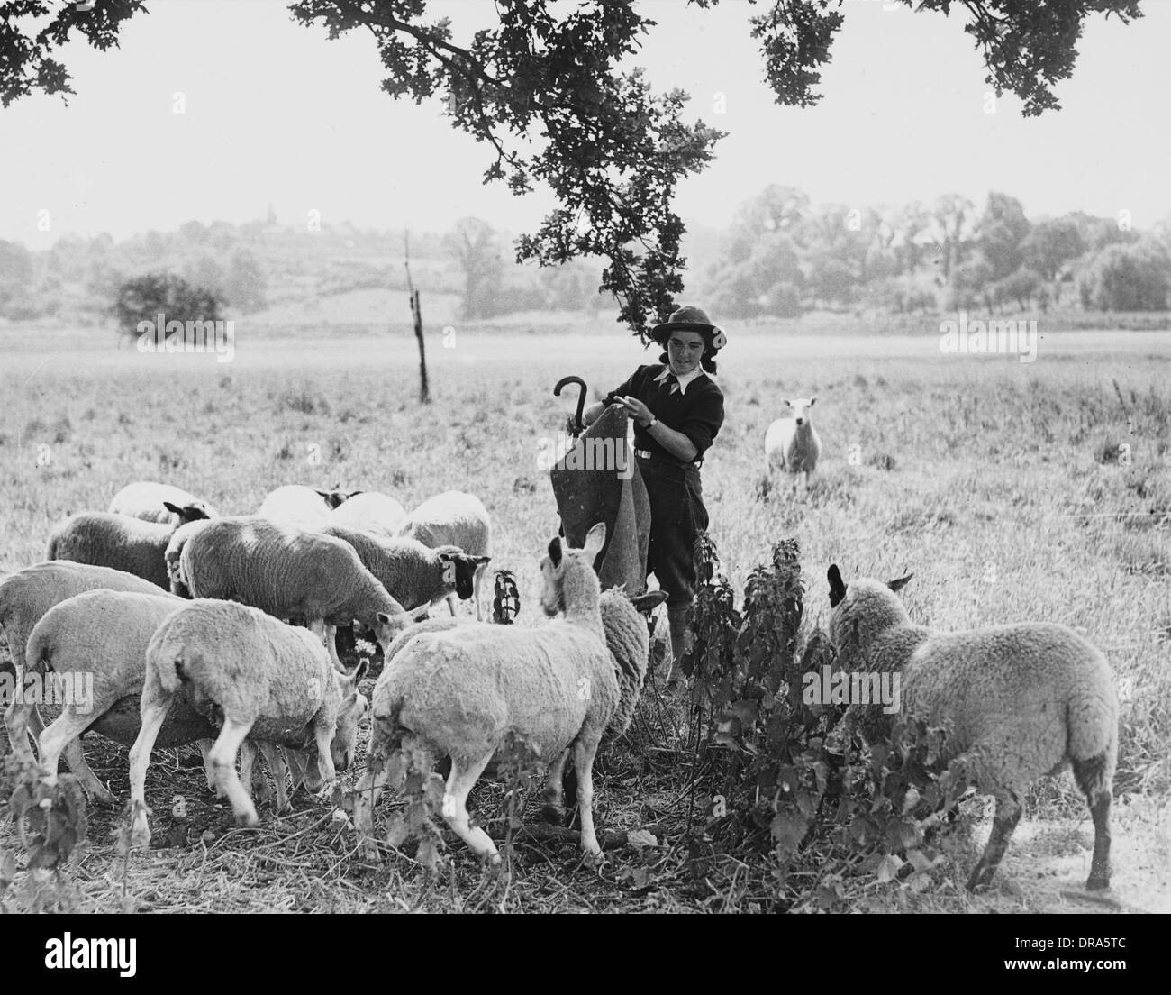 Land Mädchen des zweiten Weltkriegs Stockfoto
