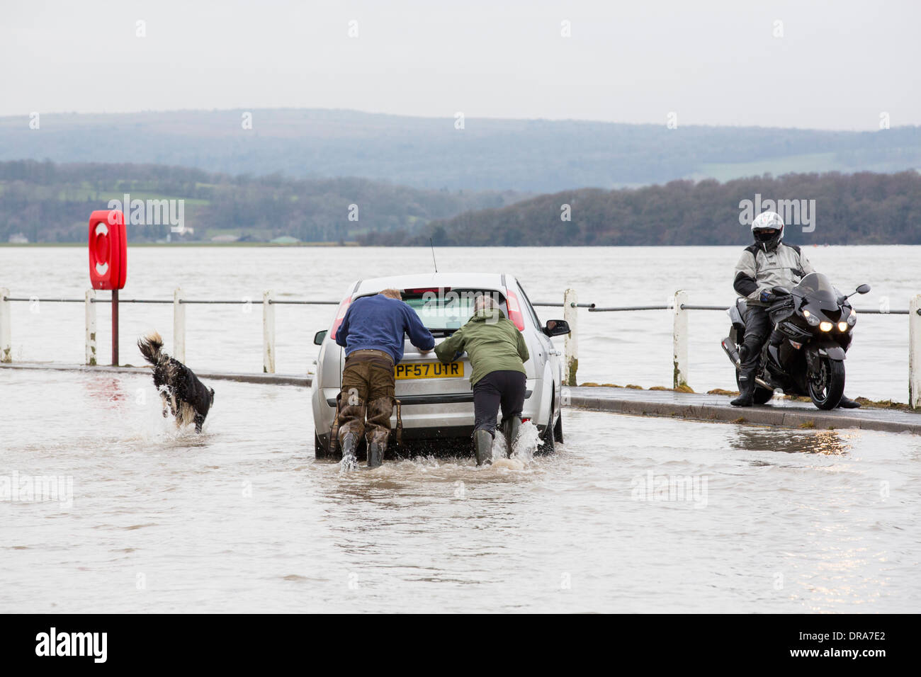 Eine Autofahrer stecken in Hochwasser auf der Straße zu Storth an der Mündung der Kent in Cumbria, UK, während der Januar 2014 Stürme Stockfoto