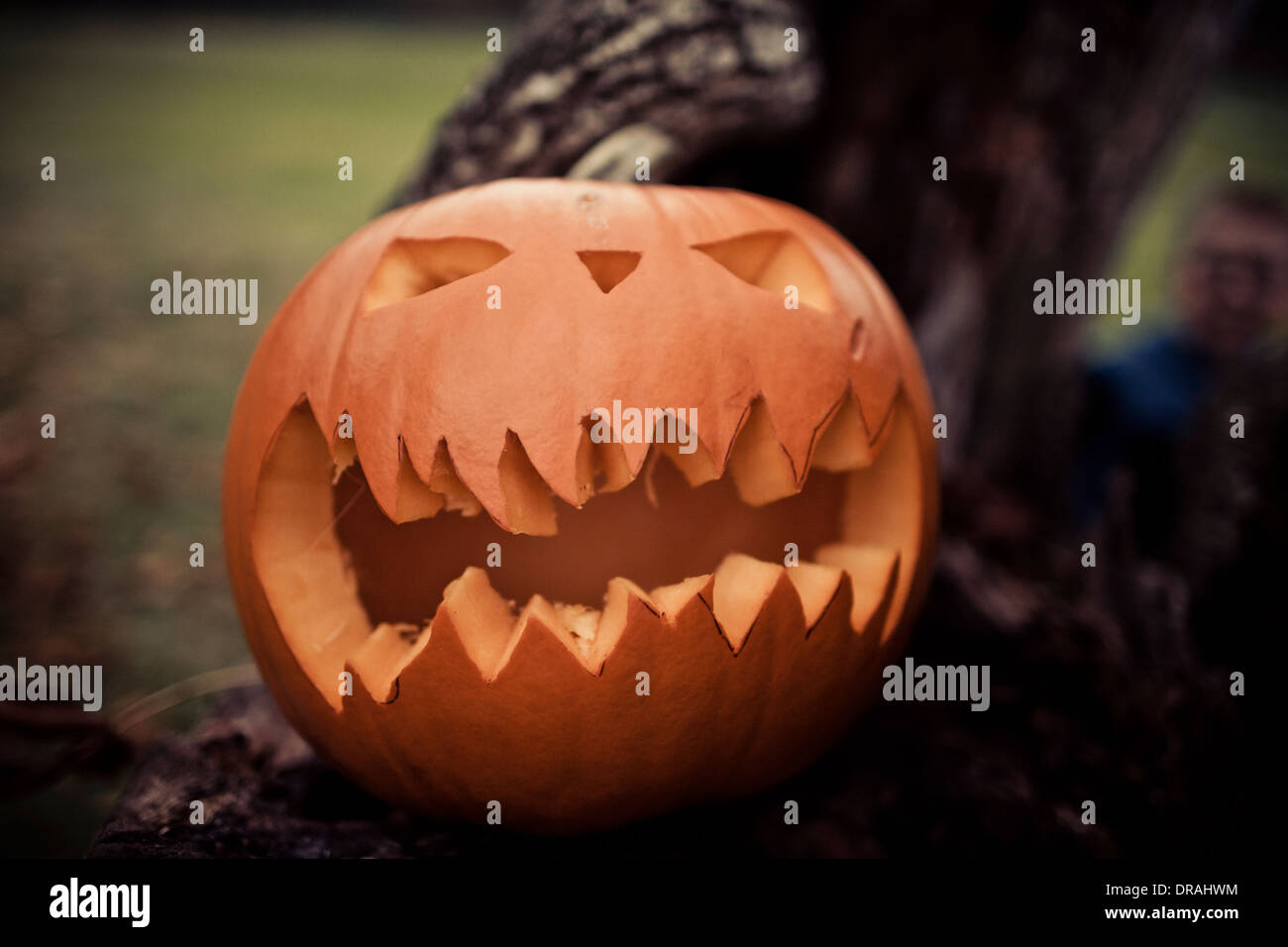 Herbst-Porträts Stockfoto