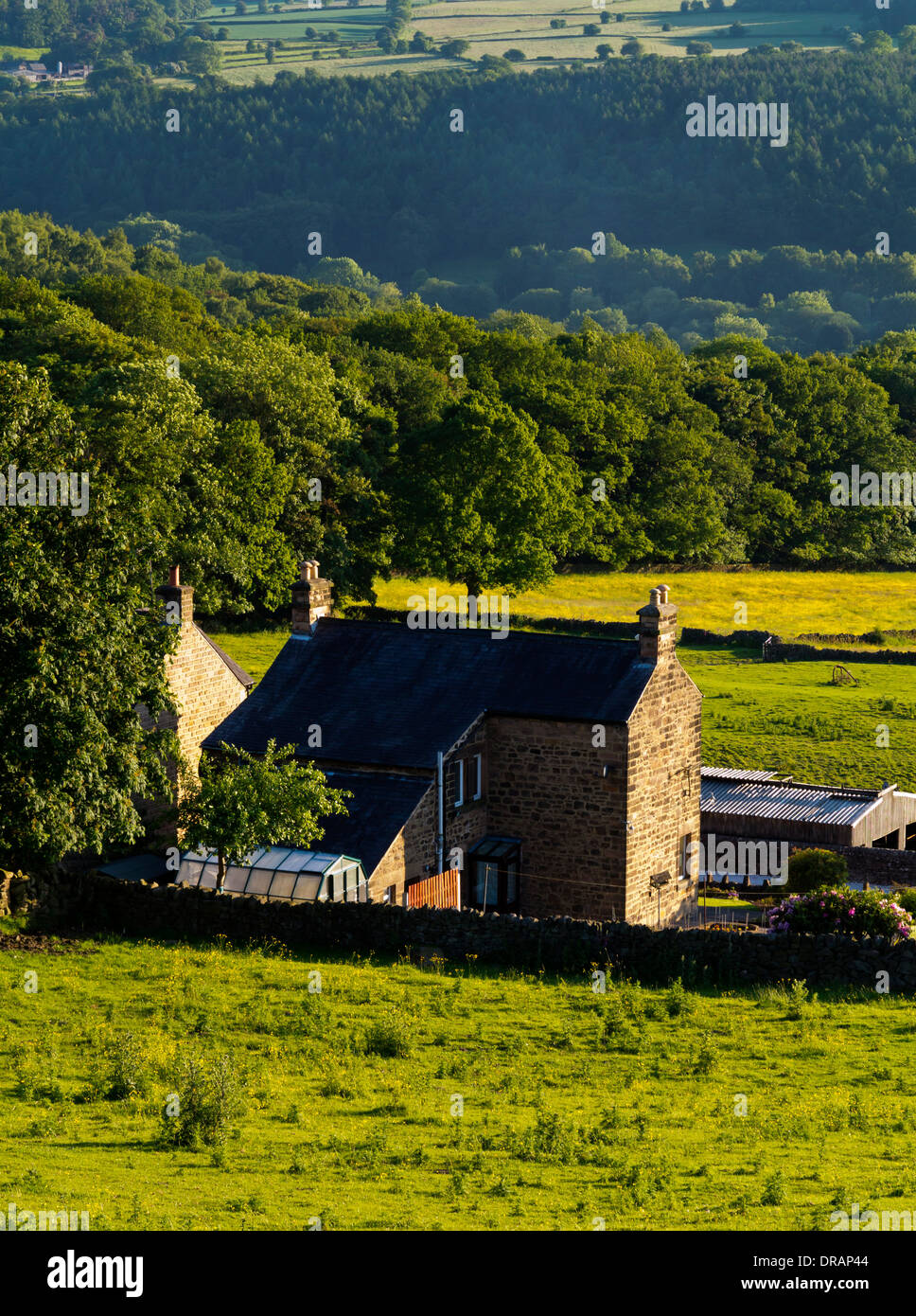 Bauernhaus in der Landschaft in der Nähe Holloway in Amber Valley Peak District Derbyshire England UK mit Bäumen und Hügeln im Abstand Stockfoto