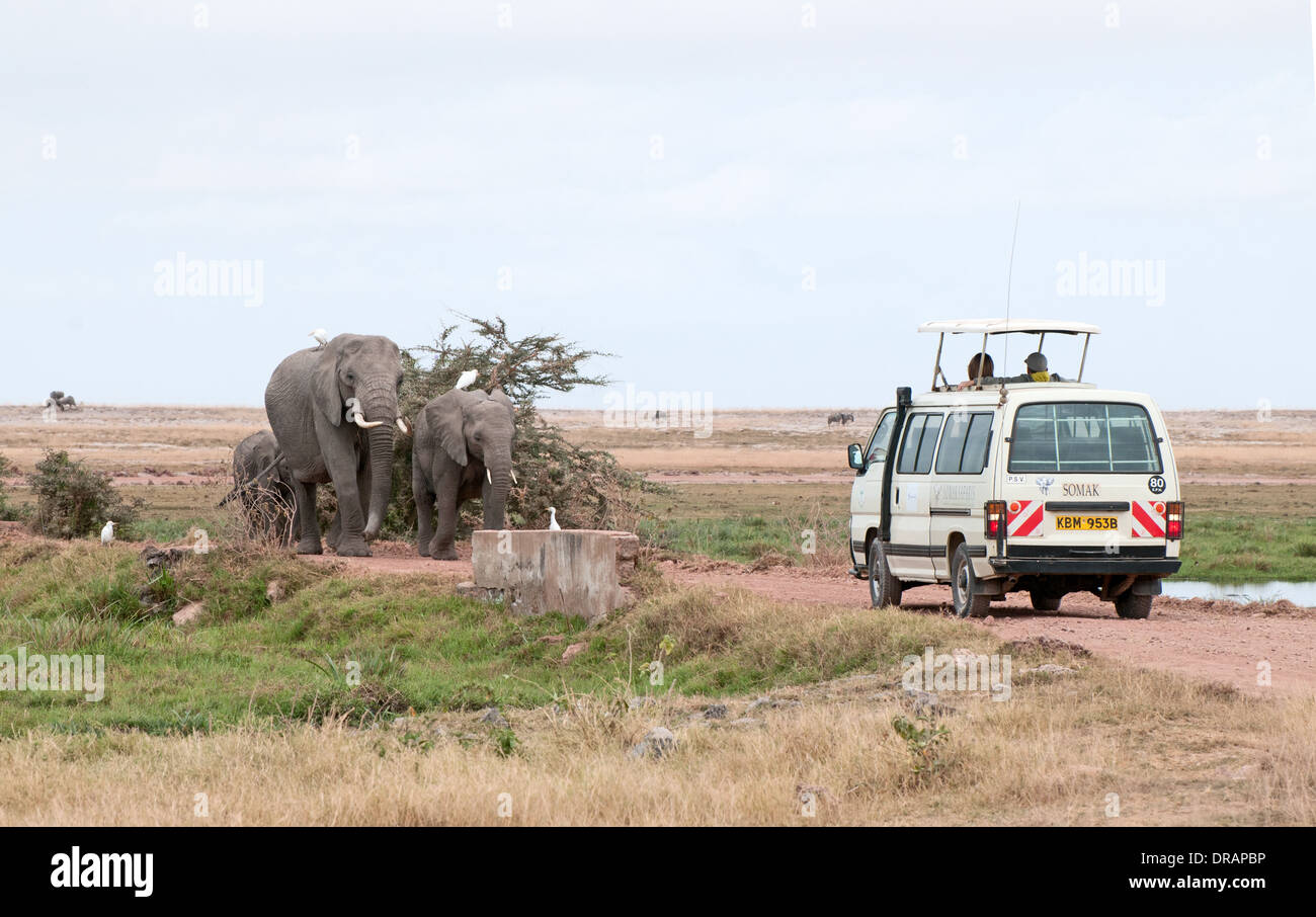 Elefantenfamilie Fuß Straße in Richtung weiße Somak Kleinbus in Amboseli National Park Kenia in Ostafrika Stockfoto