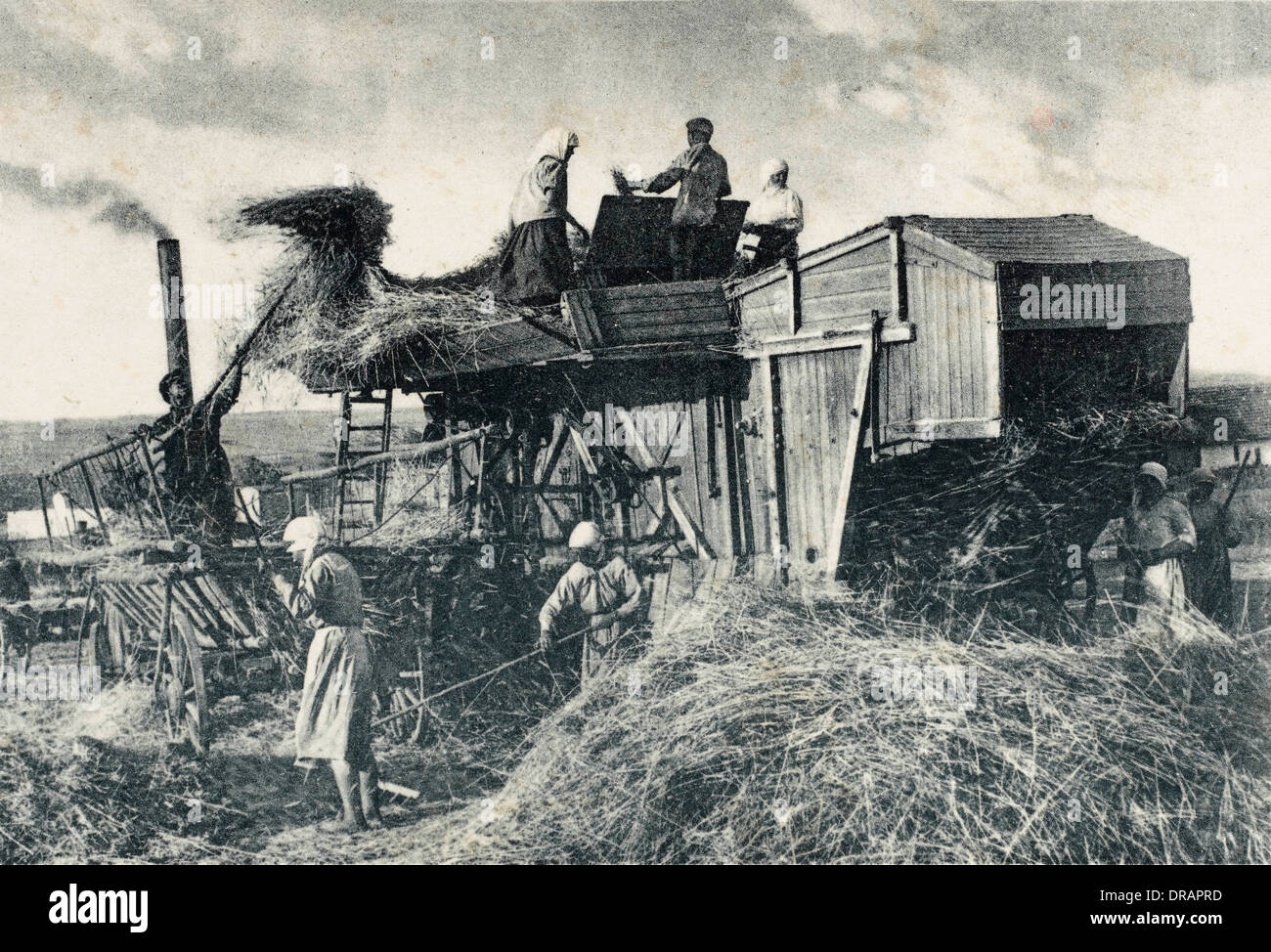 Kollektive Landwirtschaft in der Sowjetunion Stockfoto