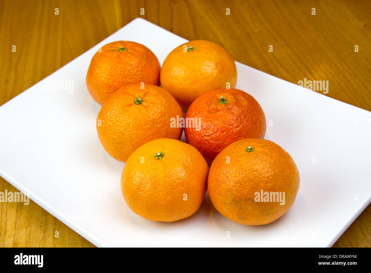 6 Orangen auf einem weißen Teller Stockfoto