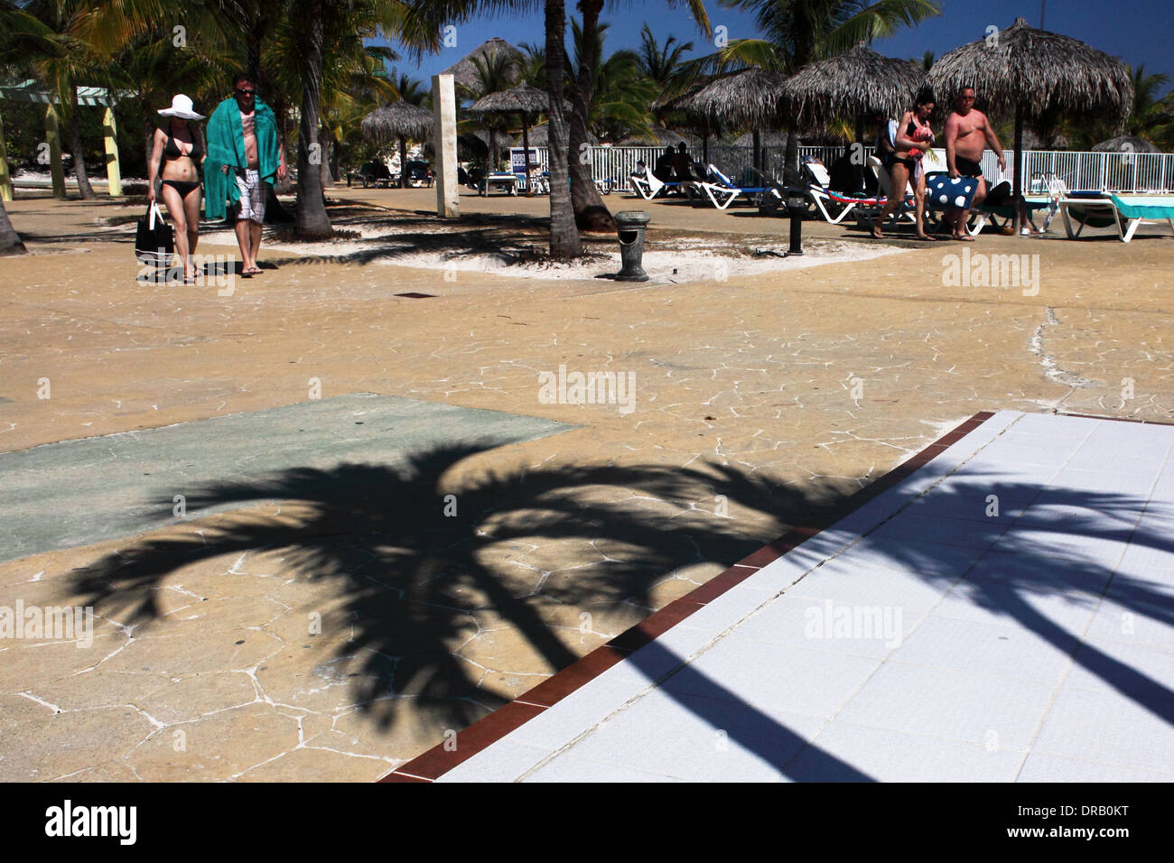 Cayo Largo, Kuba Foto: Pixstory / Alamy Stockfoto