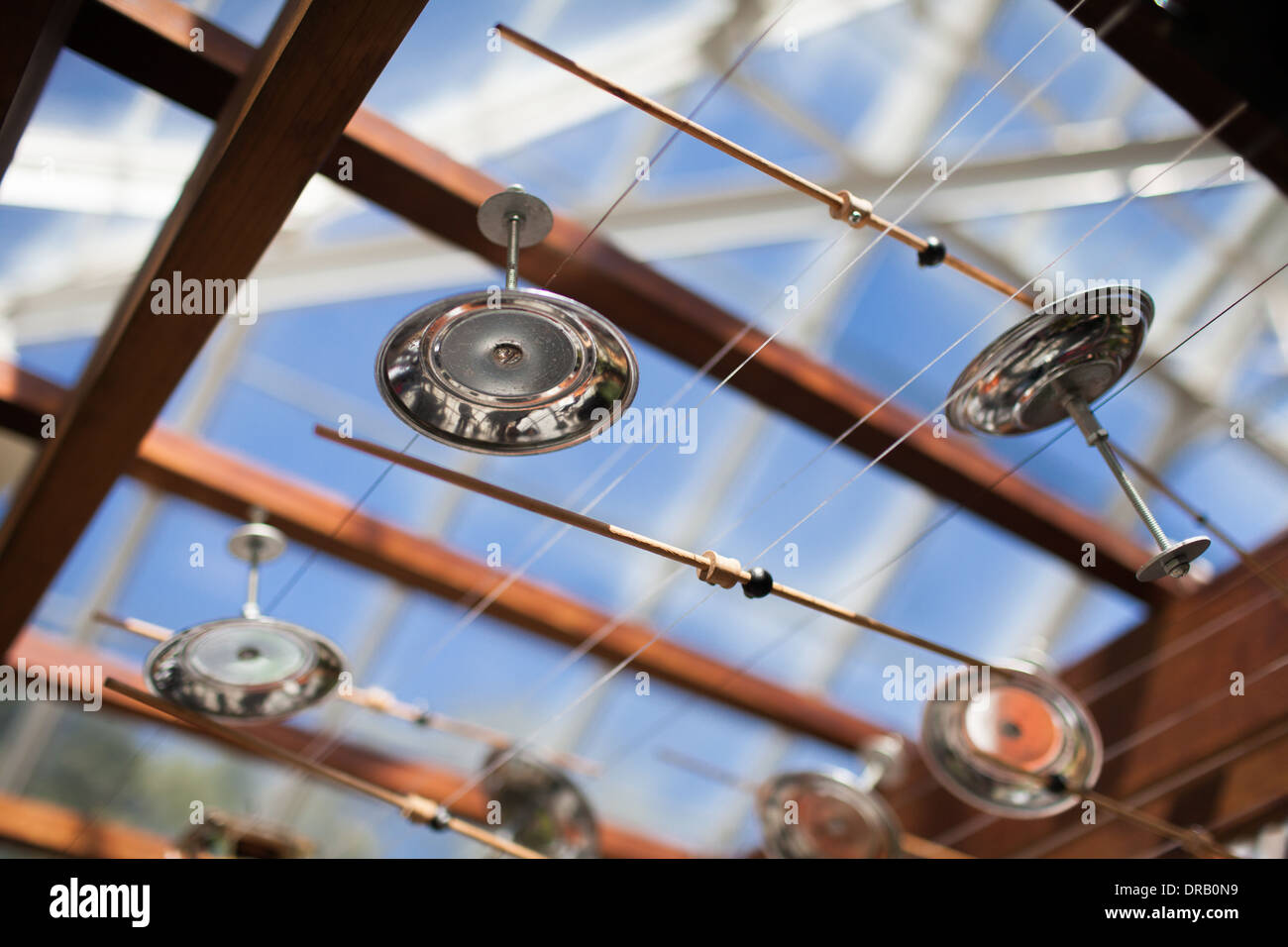Foto von Glocken im Gewächshaus mit einer geringen Schärfentiefe, Seattle, Washington. Stockfoto