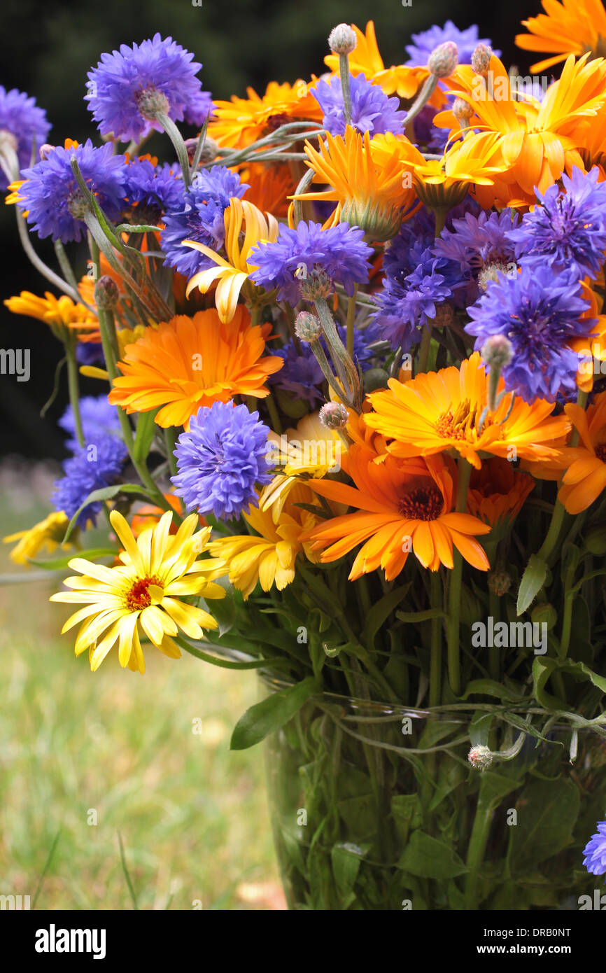 Bunten Blumenstrauß in einer Sommerwiese Stockfoto