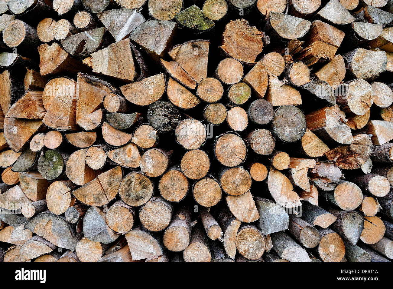 Ein Haufen von log Stockfoto
