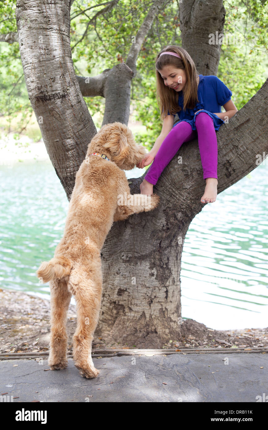 Mädchen auf Baumstamm sitzend und verwöhnen ihr Haustieren Hund Stockfoto