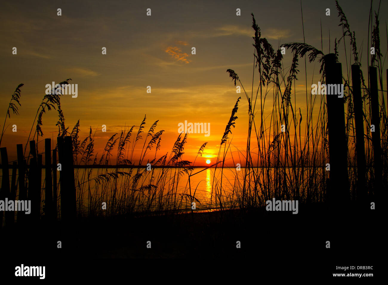 Die Sonne untergeht zwischen Sehafer und Sand Fechten über Amelia Sound, Fernandina Beach, Florida Stockfoto