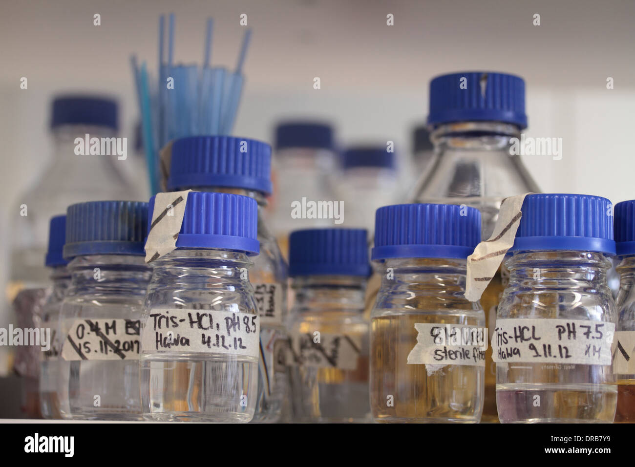 Glasflaschen im Labor mit sterilen Flüssigkeiten Stockfoto