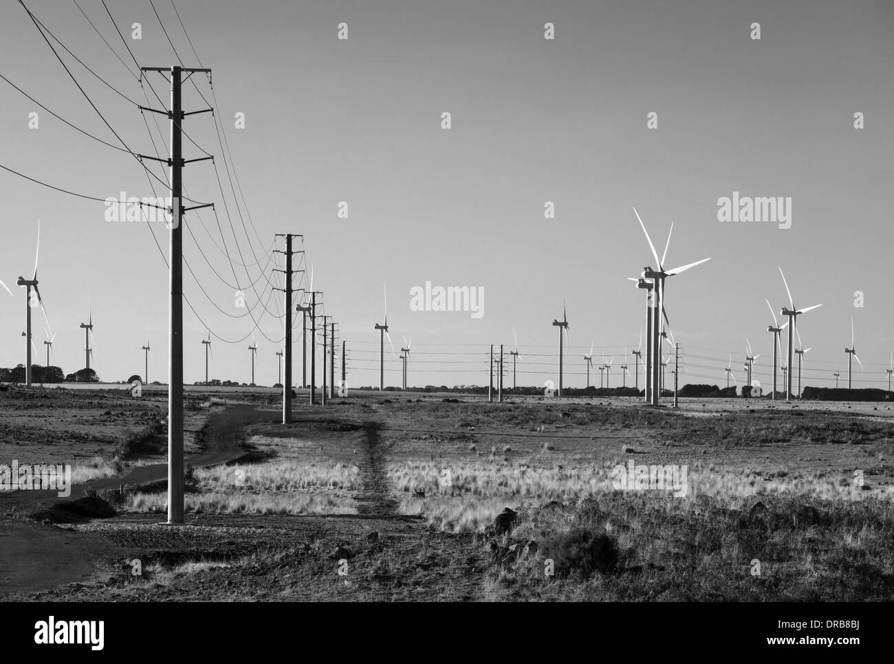 Wind Stromerzeuger in Macurthur, Victoria, Australien, der größte Windpark auf der Südhalbkugel ab 2014 Stockfoto