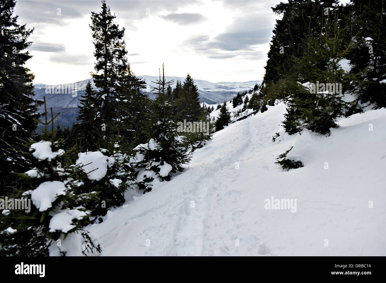 Touristischen Fußspuren im Schnee bis auf Berg im Frühwinter Stockfoto