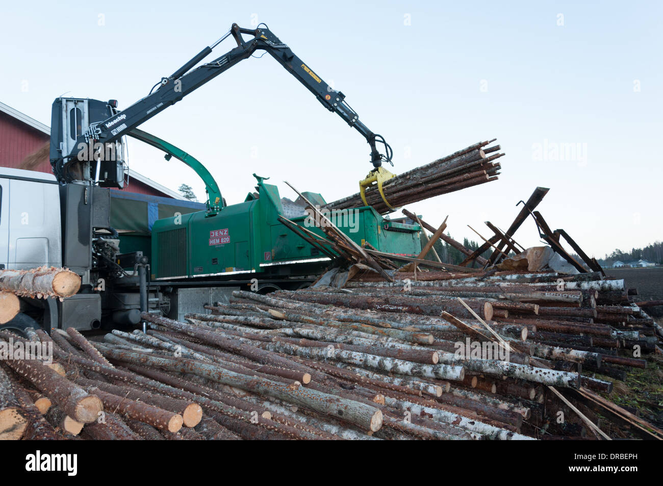 Herstellung von Hackschnitzel Stockfoto